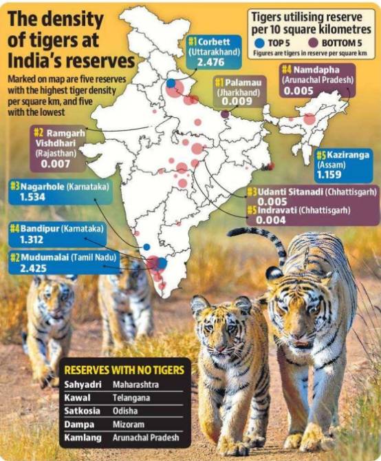 India’s tiger Population